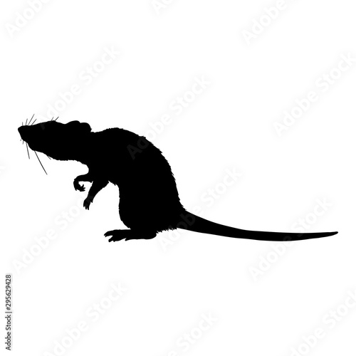 Vector Black Silhouette of Rat