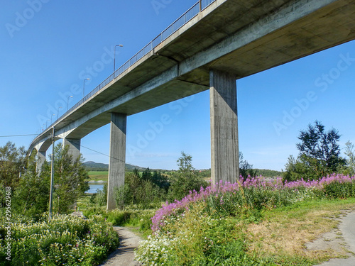 Landscape with a beautiful and curved bridge from below, rocks, stones and various plants © ANDA