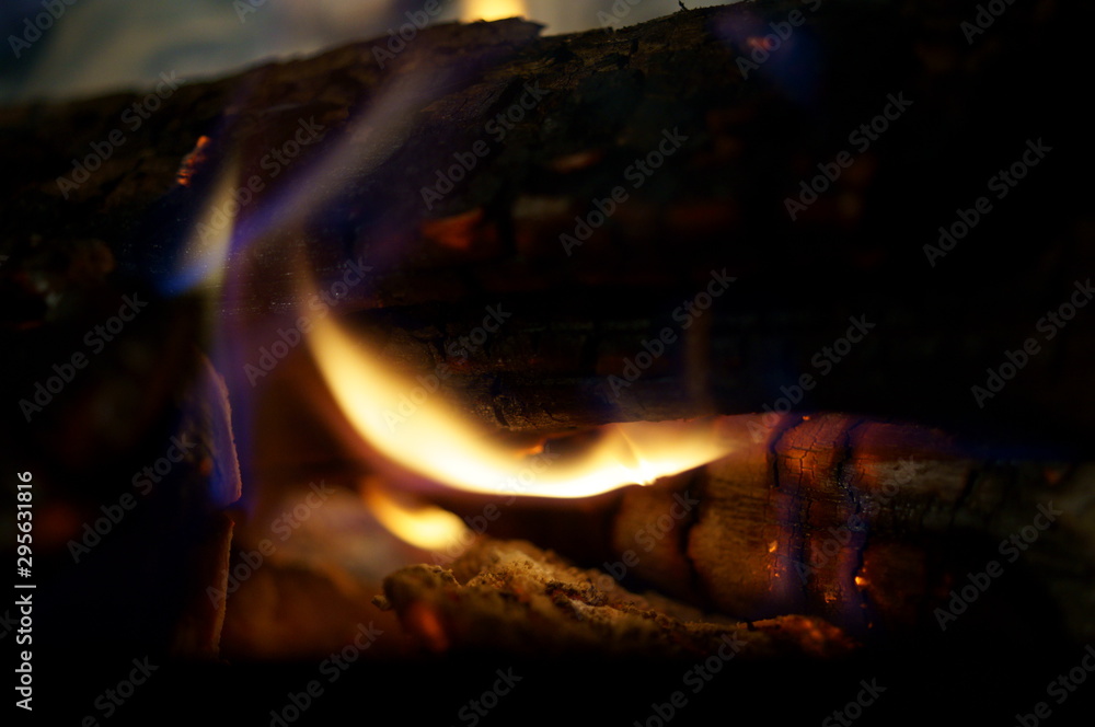 Naklejka premium Close-up of a tree burning in a bonfire