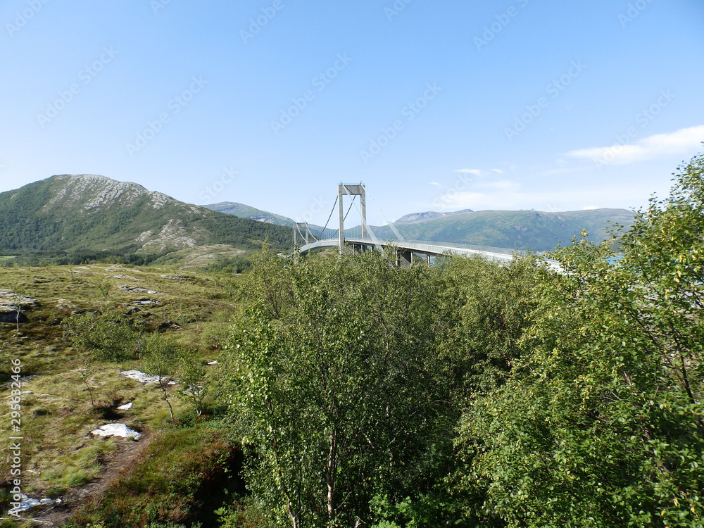 summer landscape with a bridge over tree tops