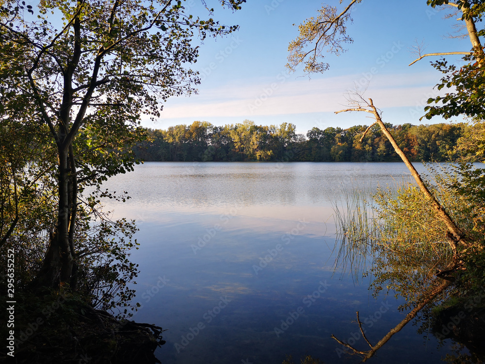 Fototapeta premium Herbst