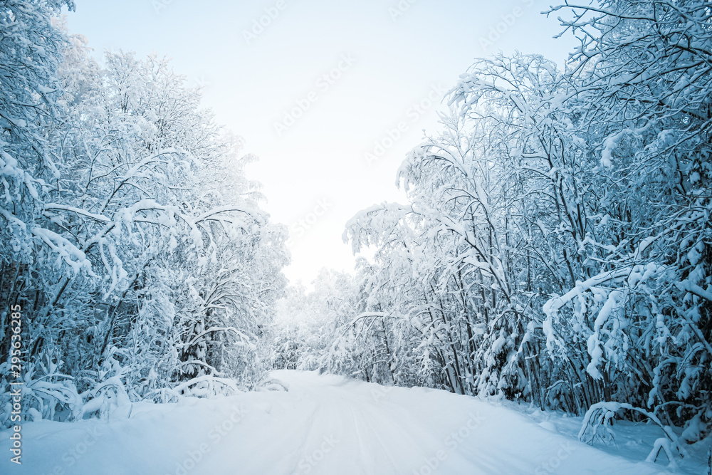 Beautiful fabulous winter landscape, the road going through the forest, everything is covered with snow. Beautiful fabulous winter landscape, the road going through the forest, everything is covered with snow.