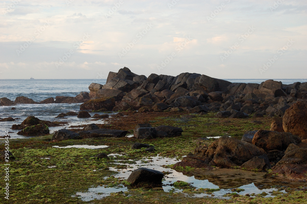 Ocean rocks full of weeds, Sri Lanka