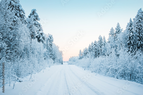 Beautiful fabulous winter landscape, the road going through the forest, everything is covered with snow. © bbgreg