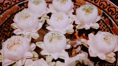 A water basin full of lotus flowers