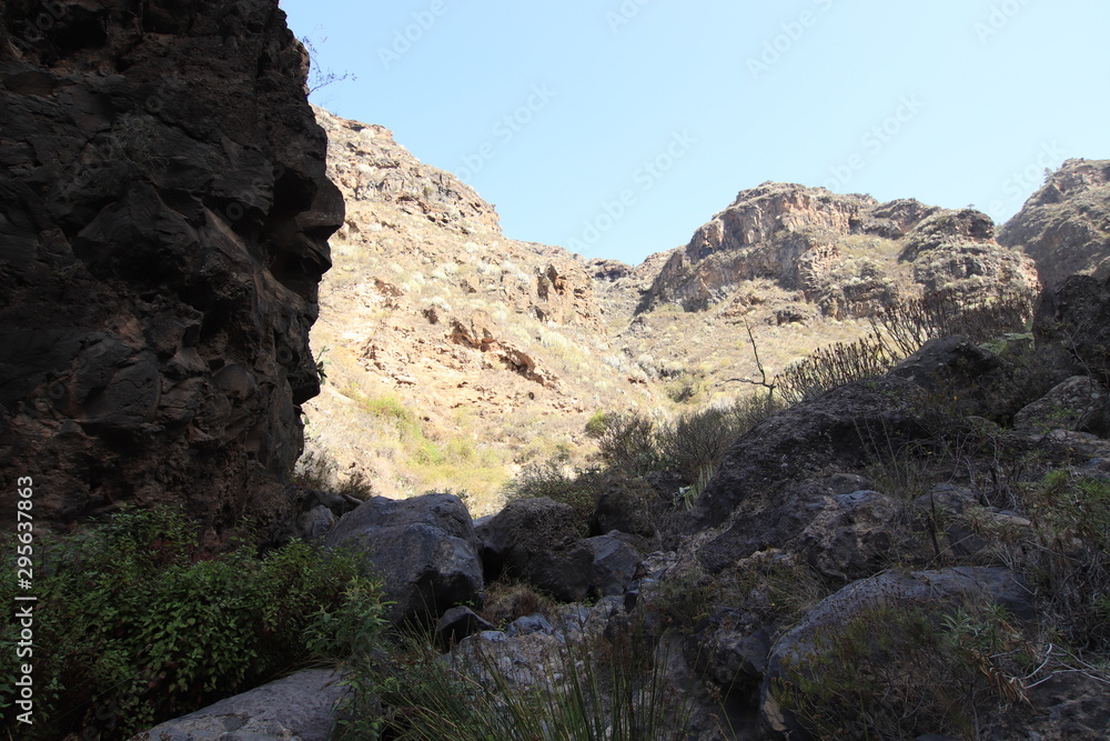 Barranco infierno Tenerife