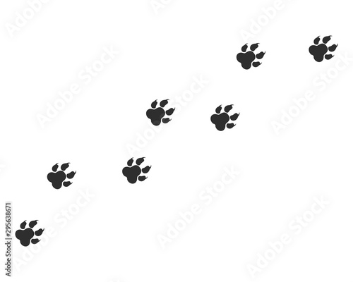 Paw vector foot trail print of cat. Paw dog, puppy, cat vector print, animal, isolated on white background