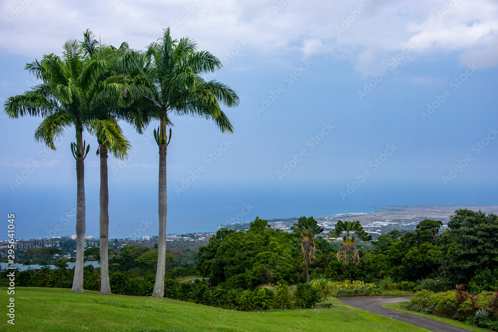 ハワイ島の風景
