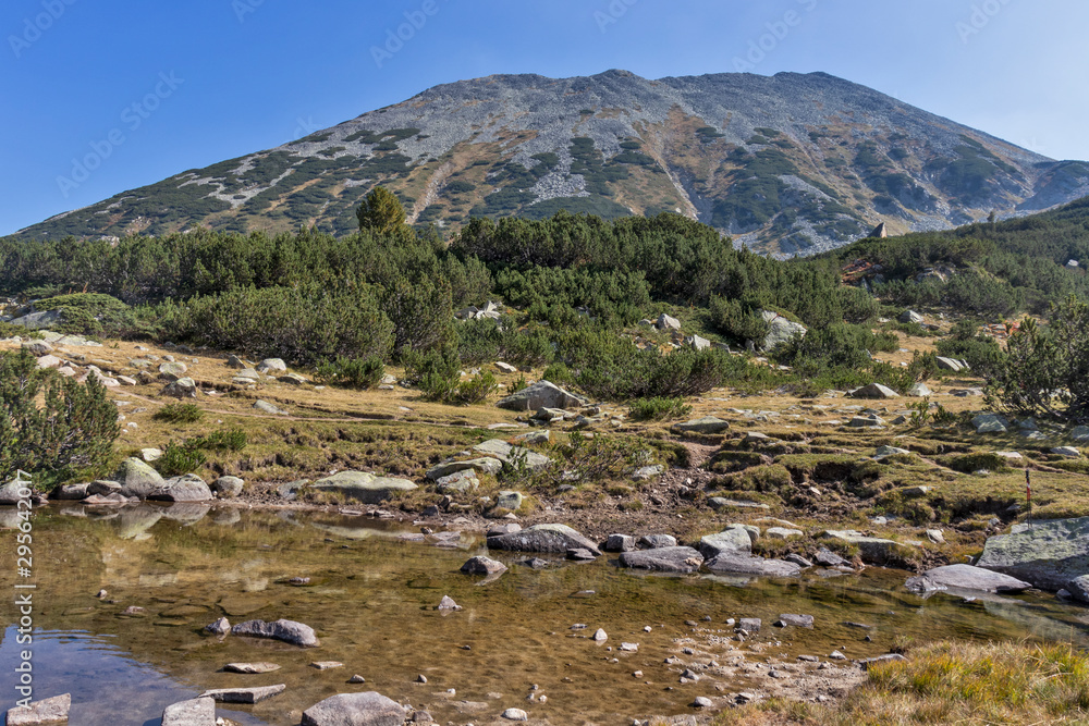 Mountain river and Todorka Peak, Pirin Mountain, Bulgaria