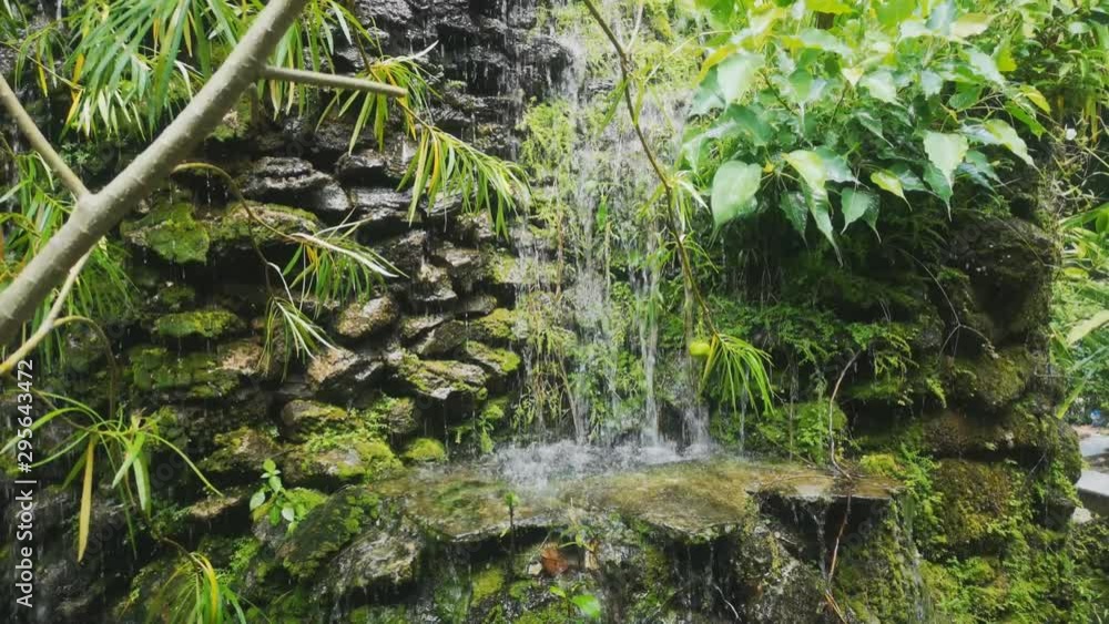 Waterfalls decorate the backyard. Water gardens inside the house. Waterfalls decorate the backyard. Water gardens inside the house.