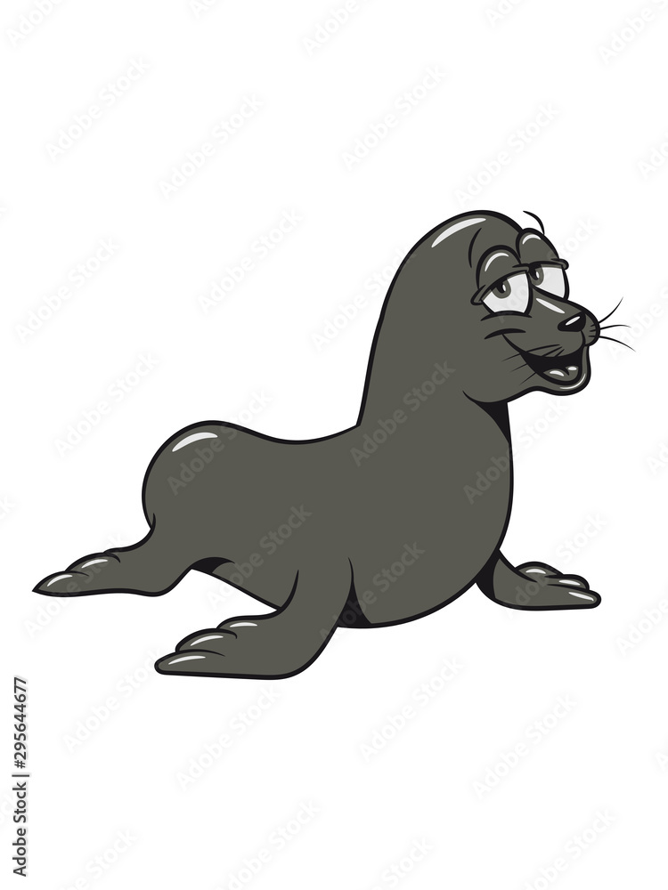 Seehund meer wasser süss lieb lustig tier schwimmen eis Pazifik atlantik fische 3c