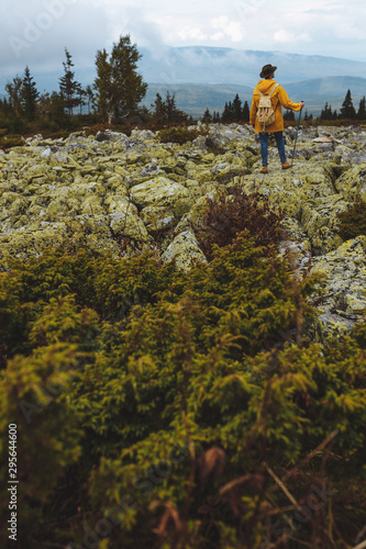 wondefil world with amazing awesome nature, landscape, green bushes in the foreground of the photo.