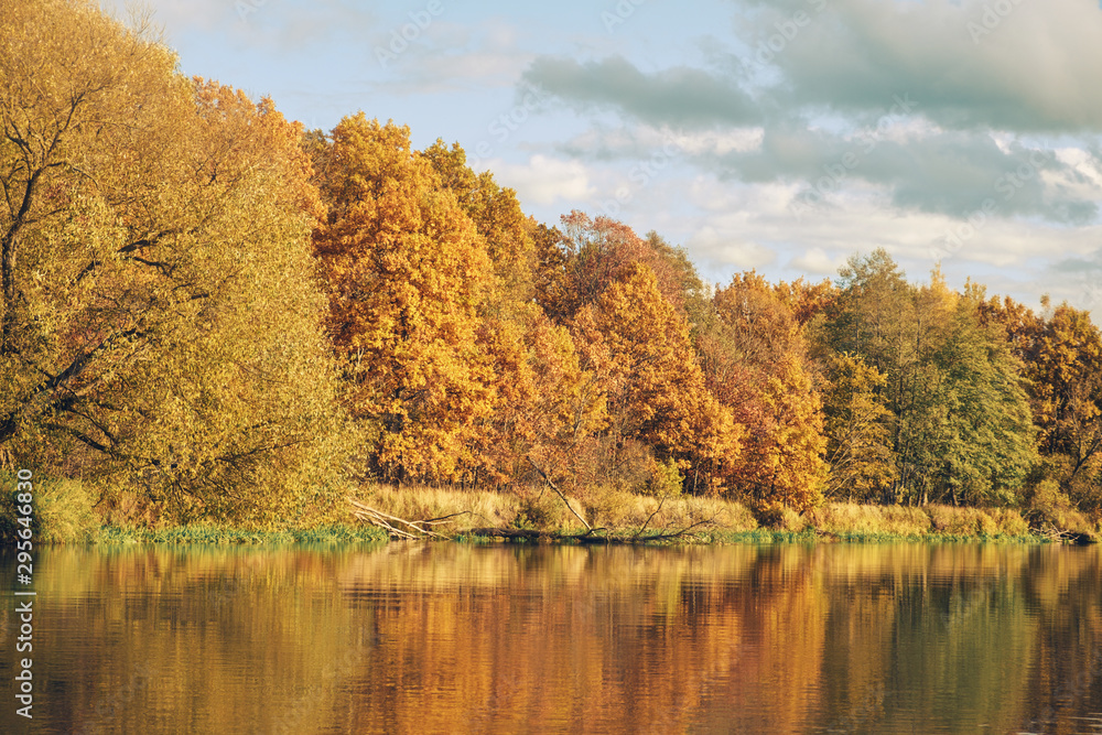 Picturesque autumn forest by the river.