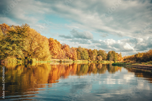 Picturesque autumn forest by the river.