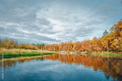 Picturesque autumn forest by the river.