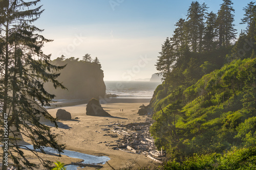 Slika na platnu Ruby Beach, Olympic National Park, Washington, USA