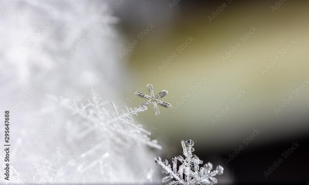 natural snowflakes on snow, winter natural snowflakes on snow, winter