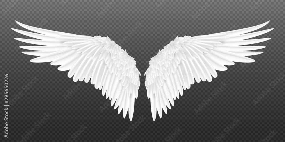 Fototapeta Realistyczne skrzydła. Para białych na białym tle skrzydła anioła stylu z piór 3D na przezroczystym tle. Wektorowy ilustracyjny ptasich skrzydeł projekt