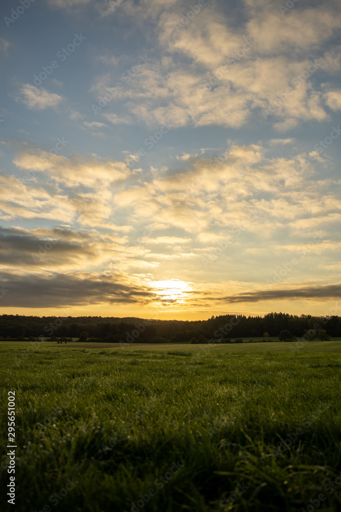 Ciel nuageux lever de soleil au dessus d'un bois