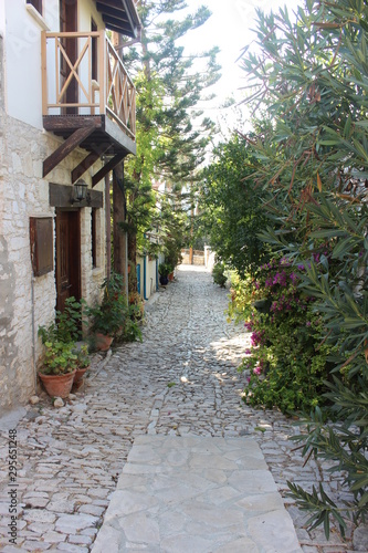 Fototapeta Naklejka Na Ścianę i Meble -  street in old village