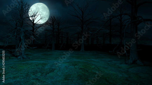 Halloween Night Mysterious Misty Forest