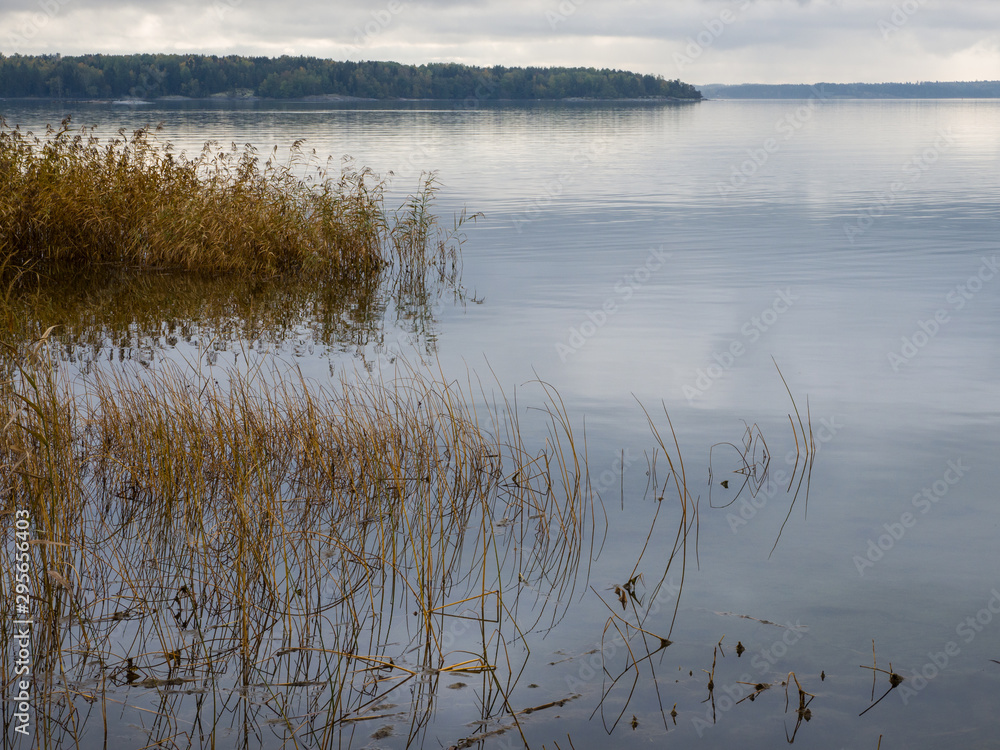Braviken Braviken
