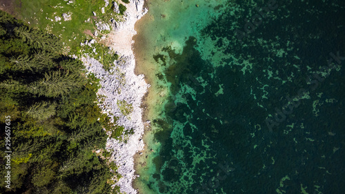 Forest Edge at Lake with Rocky Shore. Aerial Drone Top Down View. Abstract Natural Pattern