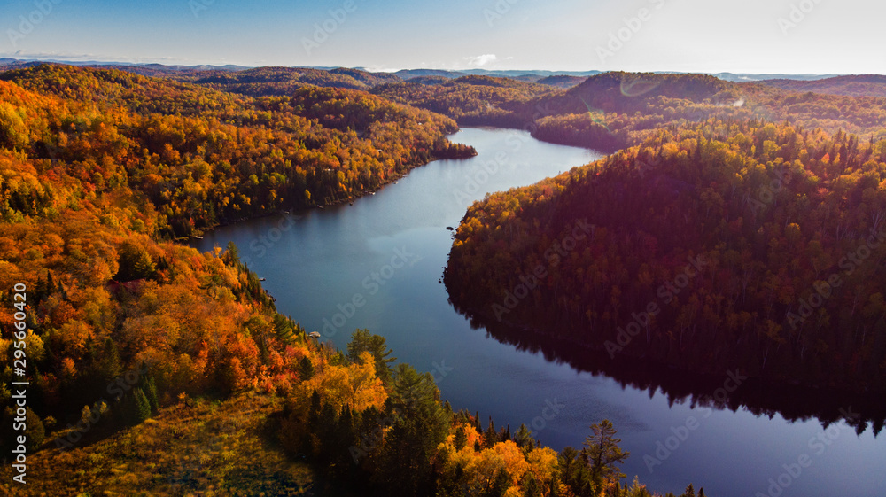 Naklejka premium Laurentian Forest landscape in autumn, Quebec, Canda