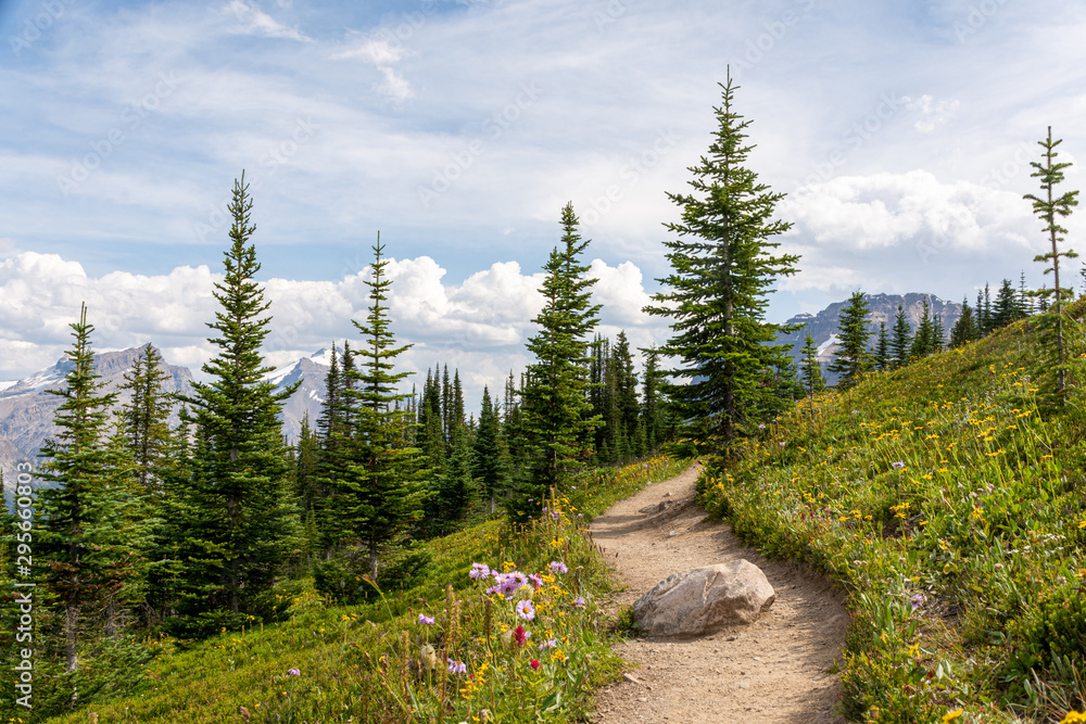 Fototapeta premium Helen Lake Trail and Andromache Peak in the background, Canada