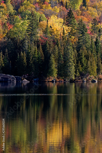 Laurentian Forest landscape in autumn, Quebec, Canda
