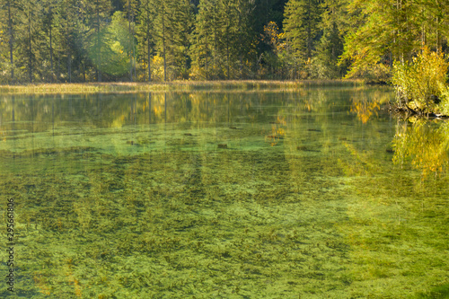 autum at the schiederweiher photo