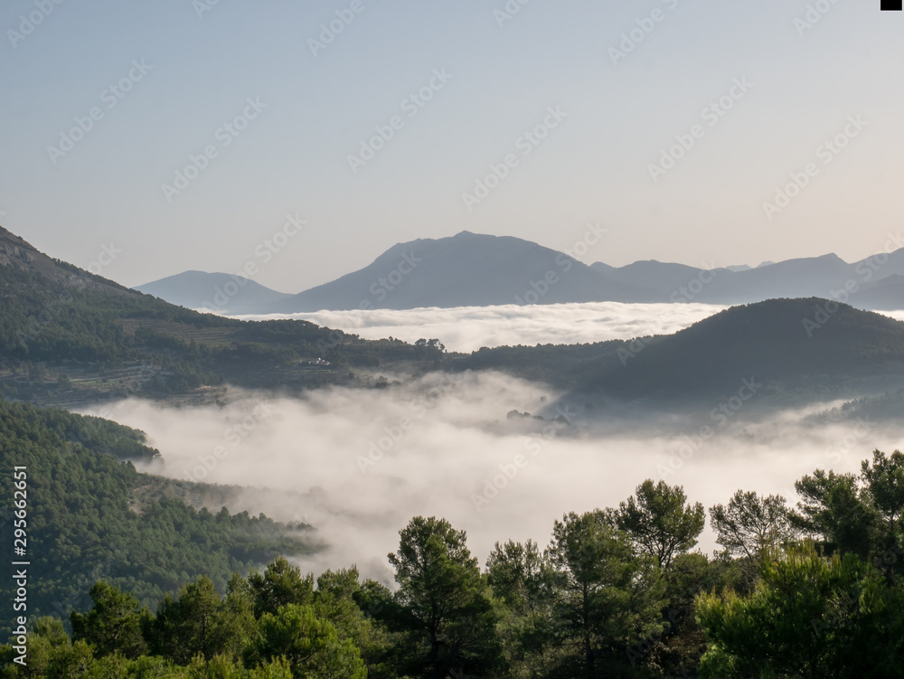 wooded landscape with clouds of mists below wooded landscape with clouds of mists below