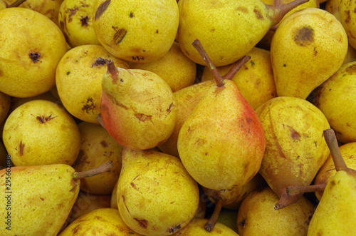 Organic yellow pears farmer maket 