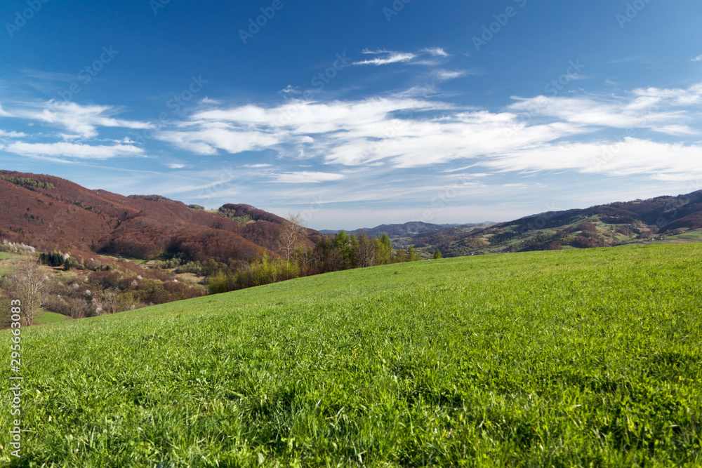 Beskid Sadecki in Spring, Poland. View from mount Dzielnica (near village Wola Krogulecka) towards village Rytro.