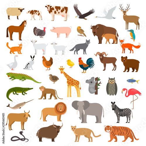 A large set of African  forest and animals and birds from the farm with the cubs. Bear  cow  elephant  lion. flat vector