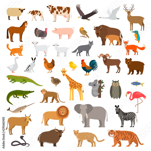 A large set of African, forest and animals and birds from the farm with the cubs. Bear, cow, elephant, lion. flat vector