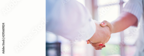 Wallpaper Mural Business people handshake after finishing agreement, achieve mission strategy of Organization. Partnership of business engagement to success in corporate with strong vision, trust teamwork, banner. Torontodigital.ca