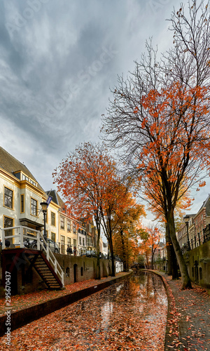 Trees with orange fall colours on nieuwegracht canal in historic city center of Utrecht, the Netherlands 