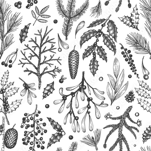 Christmas seamless pattern. Hand drawn vector winter plants background. Coniferous, holly, mistletoe design template. Vintage style illustrations