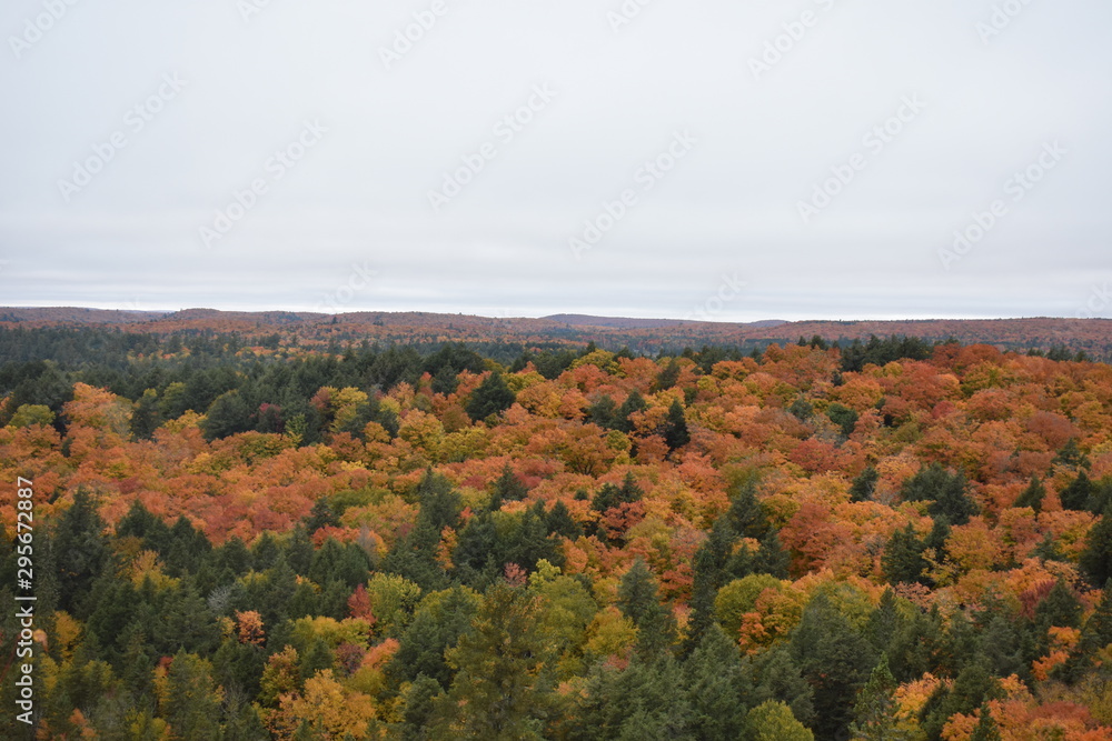 view of autumn landscape