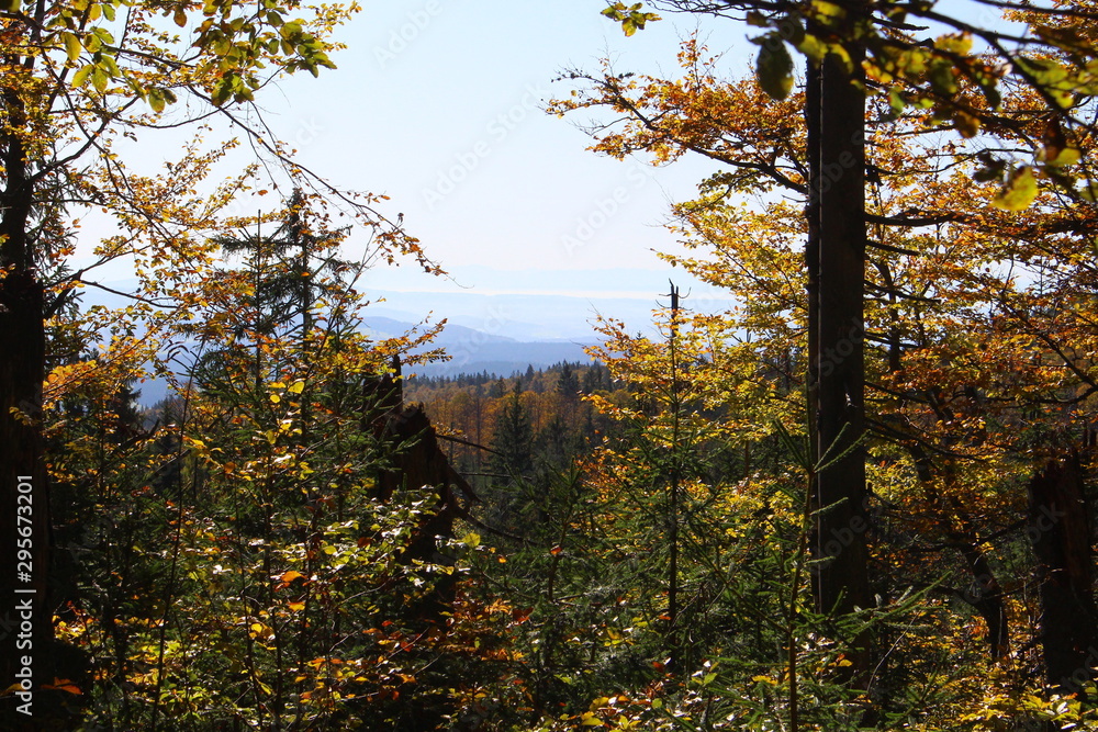 Obraz premium bayerische wald