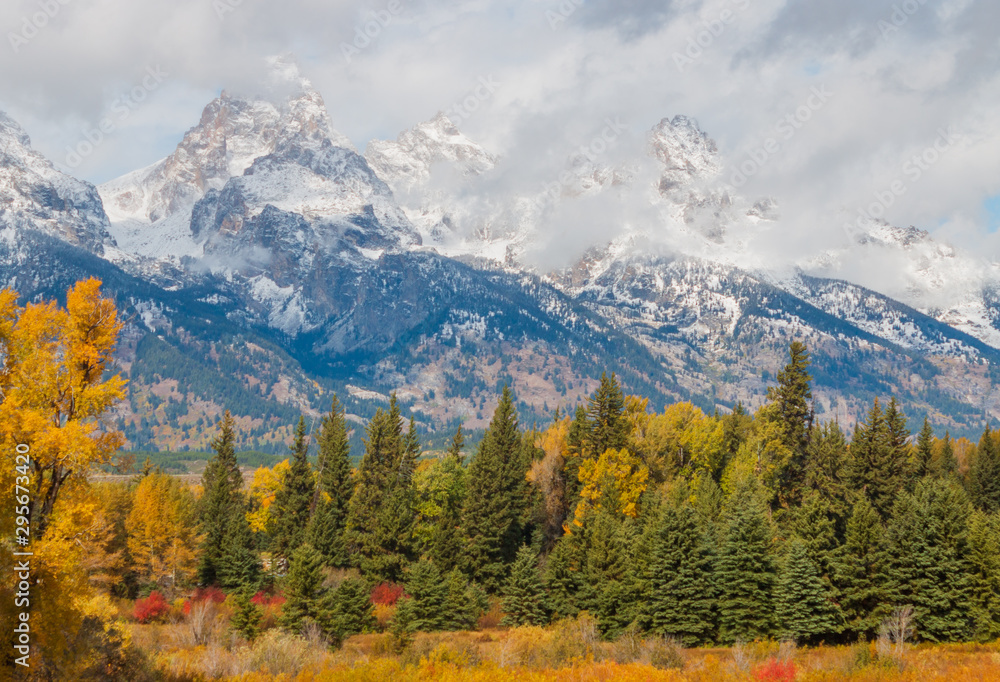 Scenic Autumn Landscape in the Tetons