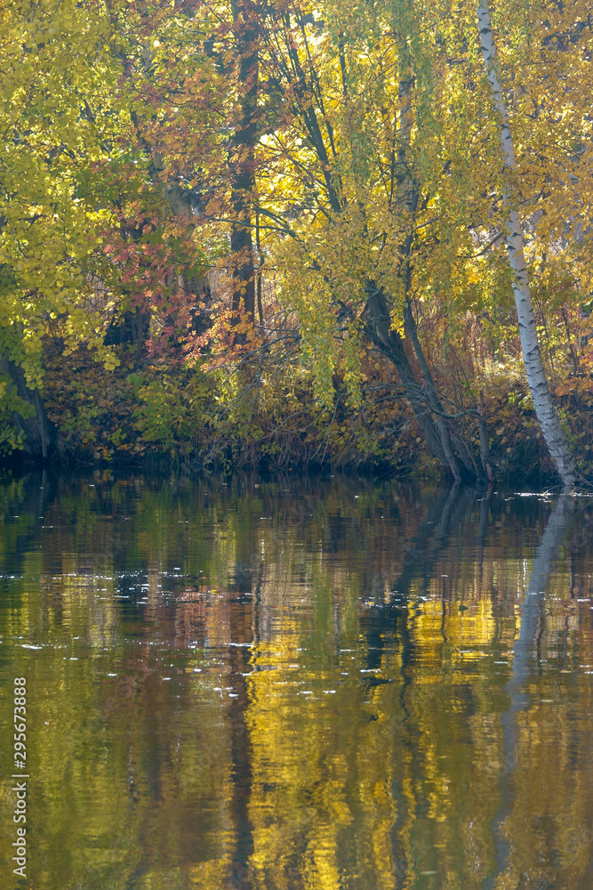 The brilliance of colors by the water The brilliance of colors by the water