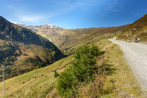 Mountainbike und Wanderweg im Zillertal