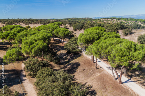 Fényképezés Casa de Campo park in Madrid, Spain