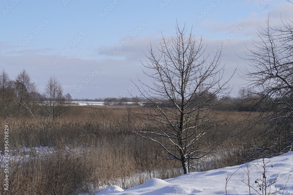 Beautiful winter landscape with a snowy river and lake. Christmas and New Year theme Beautiful winter landscape with a snowy river and lake. Christmas and New Year theme