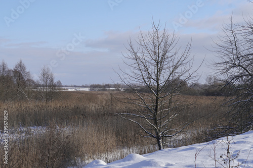 Beautiful winter landscape with a snowy river and lake. Christmas and New Year theme