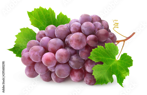 Obraz na plátně Isolated bunch of red grapes