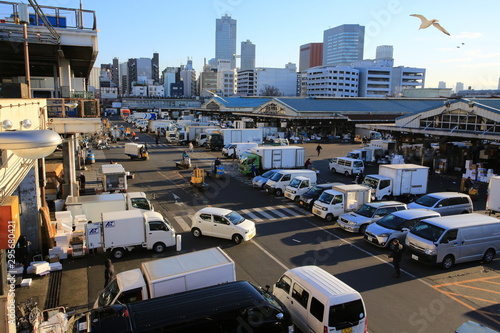 tsukiji fish market in japan