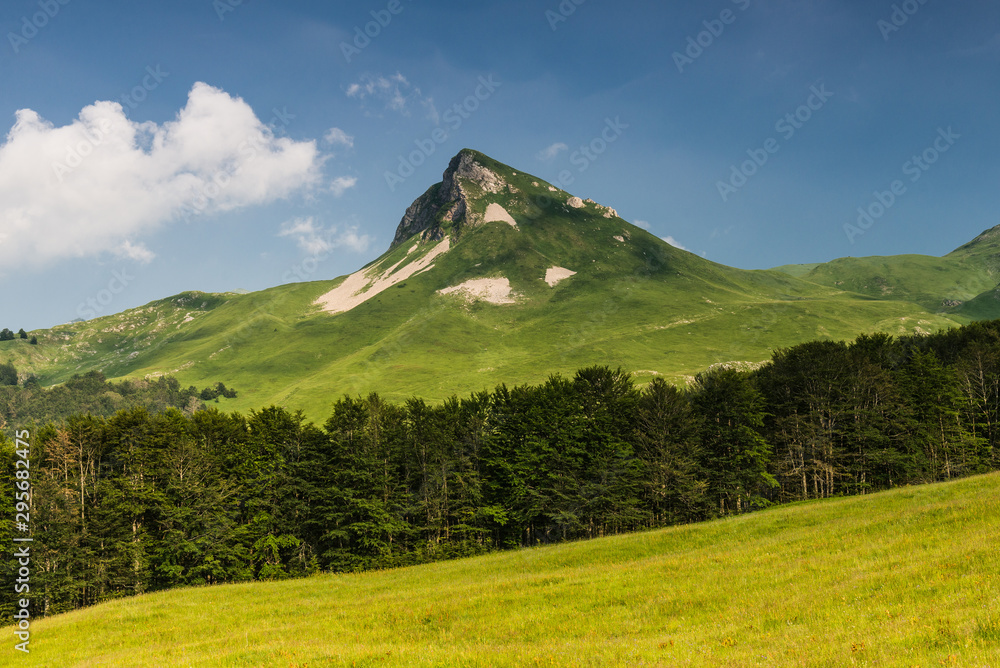 Fototapeta premium landscape in the mountains